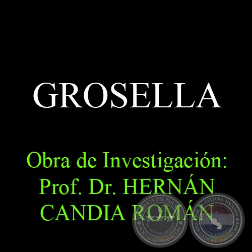 GROSELLA - Obra de Investigación: Prof. Dr. HERNÁN CANDIA ROMÁN