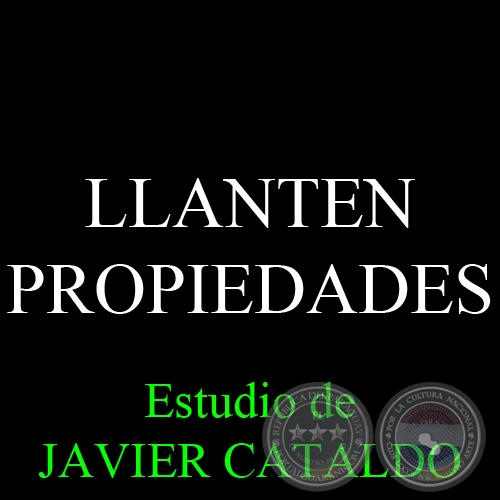LLANTEN - PROPIEDADES - Estudio de JAVIER CATALDO