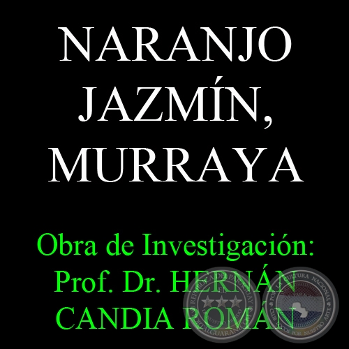 NARANJO JAZMÍN, MURRAYA - Obra de Investigación: Prof. Dr. HERNÁN CANDIA ROMÁN