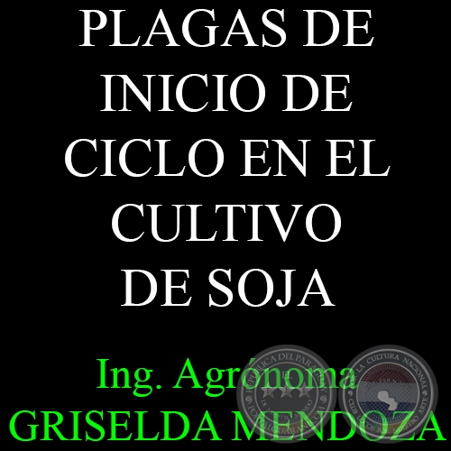 PLAGAS DE INICIO DE CICLO EN EL CULTIVO DE SOJA - Por Ing. Agr. GRISELDA MENDOZA