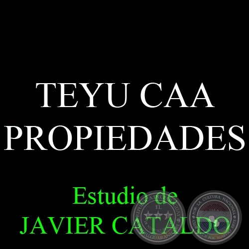 TEYU CAA - PROPIEDADES - Estudio de JAVIER CATALDO