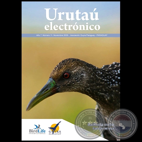 URUTAÚ ELECTRÓNICO - NÚMERO 11 - AÑO 7 - NOVIEMBRE 2009