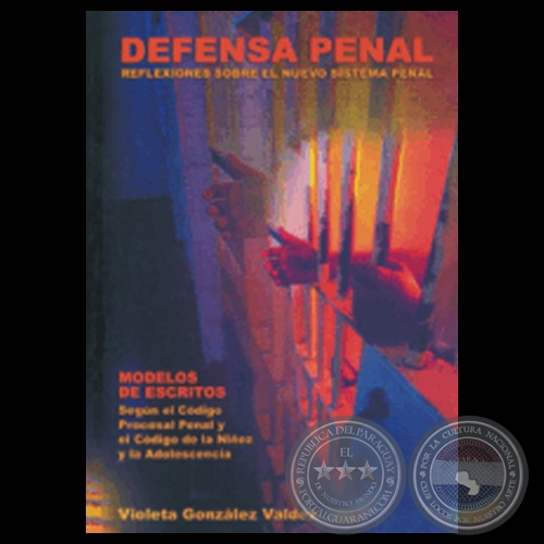 DEFENSA PENAL REFLEXIONES SOBRE EL NUEVO CÓDIGO PENAL - Por VIOLETA GONZÁLEZ VALDEZ - Año 2003