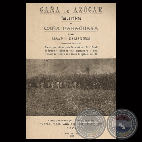 CAÑA DE AZÚCAR y CAÑA PARAGUAYA, 1936 - Por CÉSAR SAMANIEGO