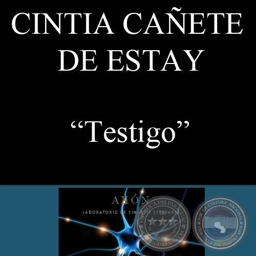 TESTIGO, 2010 - Obra de CINTIA CAÑETE DE ESTAY