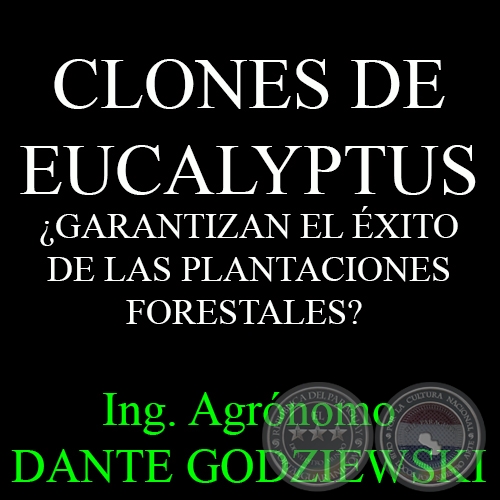 CLONES DE EUCALYPTUS GARANTIZAN EL XITO DE LAS PLANTACIONES FORESTALES? - Ing. Agrnomo DANTE GODZIEWSKI
