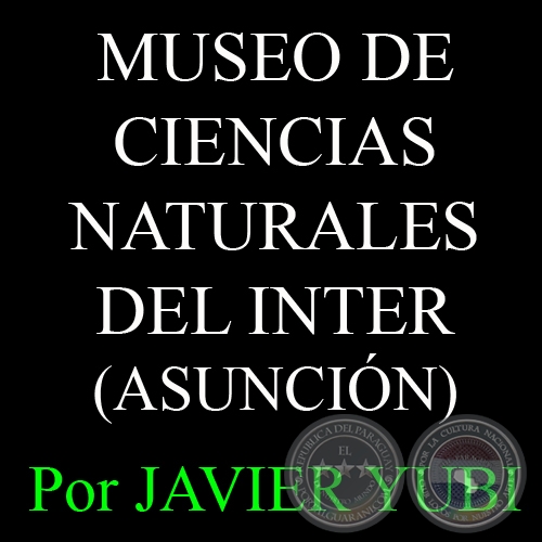 MUSEO DE CIENCIAS NATURALES DEL COLEGIO INTERNACIONAL - MUSEOS DEL PARAGUAY (54) - Por JAVIER YUBI