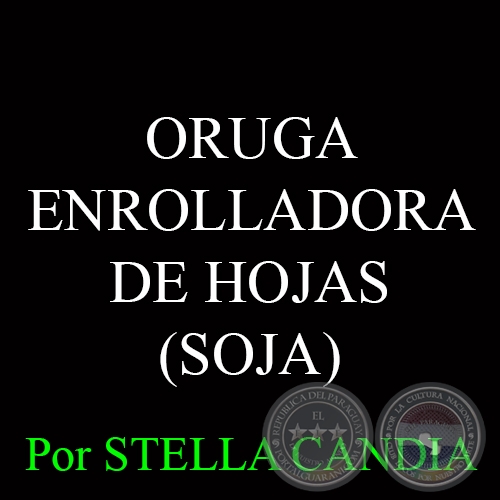 ORUGA ENROLLADORA DE HOJAS - Ing. Agrnoma STELLA CANDIA