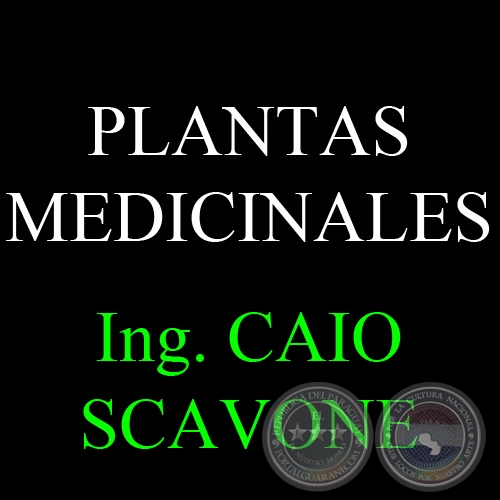 PLANTAS MEDICINALES - Por CAIO SCAVONE