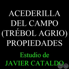 ACEDERILLA DEL CAMPO (TRÉBOL AGRIO) - PROPIEDADES - Estudio de JAVIER CATALDO 