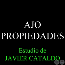 AJO - PROPIEDADES - Estudio de JAVIER CATALDO