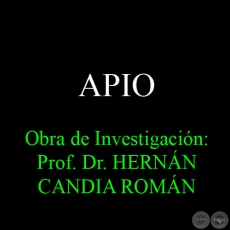 APIO - Obra de Investigación: Prof. Dr. HERNÁN CANDIA ROMÁN