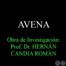 AVENA - Obra de Investigación: Prof. Dr. HERNÁN CANDIA ROMÁN