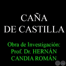 CAÑA DE CASTILLA - Obra de Investigación: Prof. Dr. HERNÁN CANDIA ROMÁN