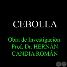 CEBOLLA - Obra de Investigación: Prof. Dr. HERNÁN CANDIA ROMÁN