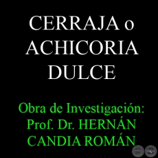 CERRAJA O ACHICORIA DULCE - Obra de Investigación: Prof. Dr. HERNÁN CANDIA ROMÁN