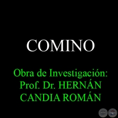 COMINO - Obra de Investigación: Prof. Dr. HERNÁN CANDIA ROMÁN