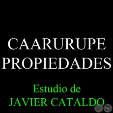 CAARURUPE - PROPIEDADES - Estudio de JAVIER CATALDO