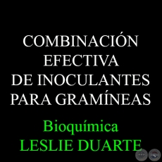 COMBINACIN EFECTIVA DE INOCULANTES PARA GRAMNEAS - Bioqumica LESLIE DUARTE 