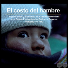 EL COSTO DEL HAMBRE: IMPACTO SOCIAL Y ECONÓMICO DE LA DESNUTRICIÓN INFANTIL EN EL ESTADO PLURINACIONAL DE BOLIVIA, ECUADOR, PARAGUAY Y PERÚ