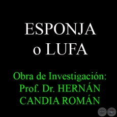 ESPONJA O LUFA - Obra de Investigación: Prof. Dr. HERNÁN CANDIA ROMÁN