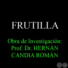 FRUTILLA - Obra de Investigación: Prof. Dr. HERNÁN CANDIA ROMÁN