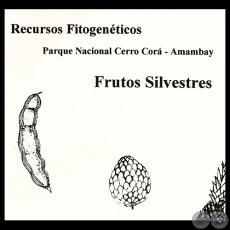 FRUTOS SILVESTRES - RECURSOS FITOGENÉTICOS, 1997 - NÉLIDA SORIA REY 