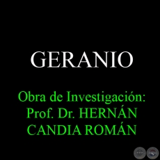 GERANIO - Obra de Investigación: Prof. Dr. HERNÁN CANDIA ROMÁN