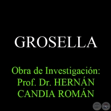GROSELLA - Obra de Investigación: Prof. Dr. HERNÁN CANDIA ROMÁN