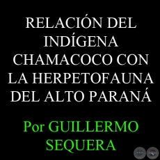 RELACIÓN DEL INDÍGENA CHAMACOCO CON LA HERPETOFAUNA DEL ALTO PARANÁ - Por AIDA LUZ AQUINO-SHUSTER, MARTHA MOTTE y GUILLERMO SEQUERA 