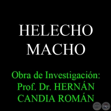 HELECHO MACHO - Obra de Investigación: Prof. Dr. HERNÁN CANDIA ROMÁN