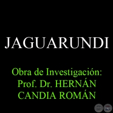 JAGUARUNDI - Obra de Investigación: Prof. Dr. HERNÁN CANDIA ROMÁN