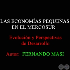 LAS ECONOMÍAS PEQUEÑAS EN EL MERCOSUR: EVOLUCIÓN Y PERSPECTIVAS DE DESARROLLO - Autores:  FERNANDO MASI y Gustavo Bittencourt - Año 2002