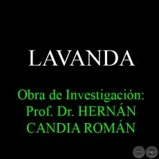 LAVANDA - Obra de Investigación: Prof. Dr. HERNÁN CANDIA ROMÁN