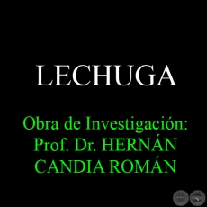 LECHUGA - Obra de Investigación: Prof. Dr. HERNÁN CANDIA ROMÁN