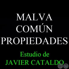 MALVA COMÚN - PROPIEDADES - Estudio de JAVIER CATALDO
