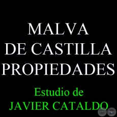 MALVA DE CASTILLA - PROPIEDADES - Estudio de JAVIER CATALDO