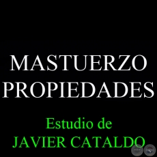 MASTUERZO - PROPIEDADES - Estudio de JAVIER CATALDO