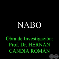 NABO - Obra de Investigación: Prof. Dr. HERNÁN CANDIA ROMÁN