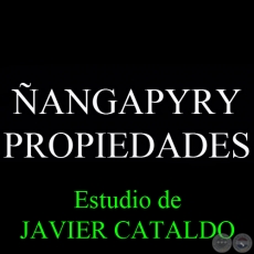 ÑANGAPYRY - PROPIEDADES - Estudio de JAVIER CATALDO