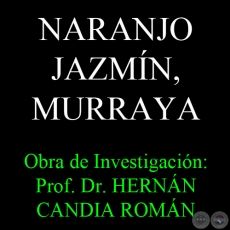 NARANJO JAZMÍN, MURRAYA - Obra de Investigación: Prof. Dr. HERNÁN CANDIA ROMÁN