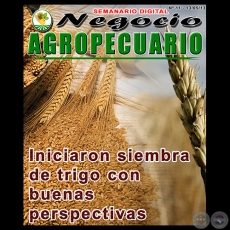 NEGOCIO AGROPECUARIO - Nº 11 - 13/05/13 - REVISTA DIGITAL