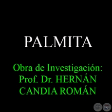 PALMITA - Obra de Investigacin: Prof. Dr. HERNN CANDIA ROMN