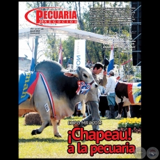 PECUARIA & NEGOCIOS - AÑO 12 NÚMERO 132 - REVISTA JULIO 2015 - PARAGUAY