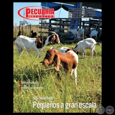PECUARIA & NEGOCIOS - AÑO 9 - N° 100 - REVISTA OCTUBRE 2012 - PARAGUAY