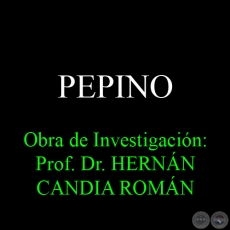 PEPINO - Obra de Investigación: Prof. Dr. HERNÁN CANDIA ROMÁN
