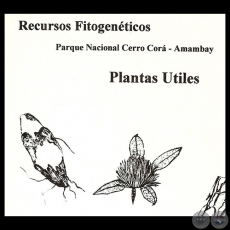 PLANTAS ÚTILES - RECURSOS FITOGENÉTICOS, 1997 - NÉLIDA SORIA REY 