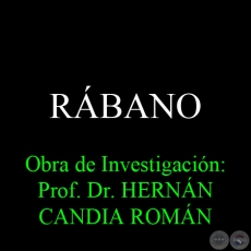 RÁBANO - Obra de Investigación: Prof. Dr. HERNÁN CANDIA ROMÁN
