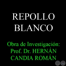 REPOLLO BLANCO - Obra de Investigación: Prof. Dr. HERNÁN CANDIA ROMÁN