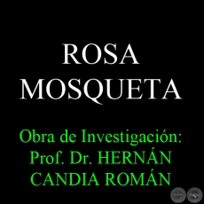 ROSA MOSQUETA - Obra de Investigación: Prof. Dr. HERNÁN CANDIA ROMÁN